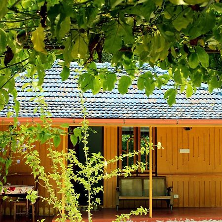 Marari Beach Pearl Homestay Mararikulam Extérieur photo