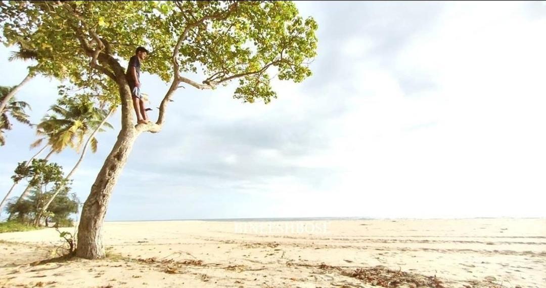 Marari Beach Pearl Homestay Mararikulam Extérieur photo