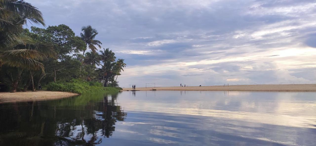 Marari Beach Pearl Homestay Mararikulam Extérieur photo